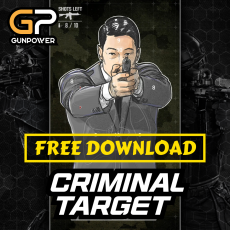 CRIMINAL TARGET