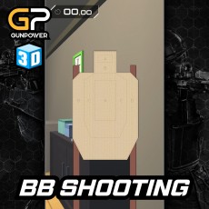 BB SHOOTING