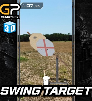 SWING TARGET